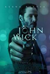 John Wick 2014 Hindi Dubbed 480p 720p 1080p FilmyZilla Filmyzilla