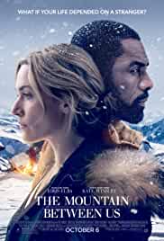 The Mountain Between Us 2017 Dual Audio Hindi 480p FilmyZilla