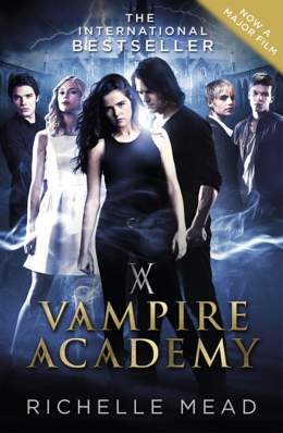 Vampire Academy 2014 Dual Audio Hindi 480p 300MB FilmyZilla