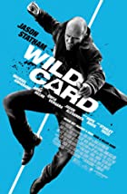 Wild Card 2015 Hindi Dubbed 480p 720p FilmyZilla